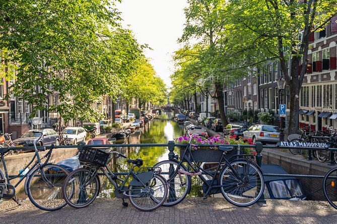 Amsterdam Walking Tour and Cruise with Drinks and Cheese Tasting - Who should choose this Amsterdam tour?