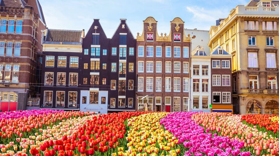 Amsterdam Walking Tour with a Local - Seeing Amsterdam through practical local advice