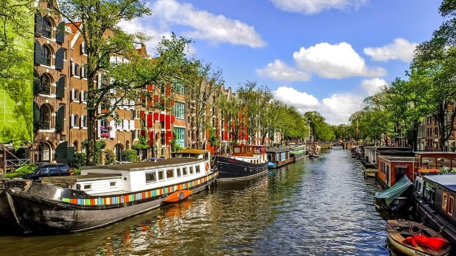 Amsterdam Walking Tour with a Local - Who should book this Amsterdam walk