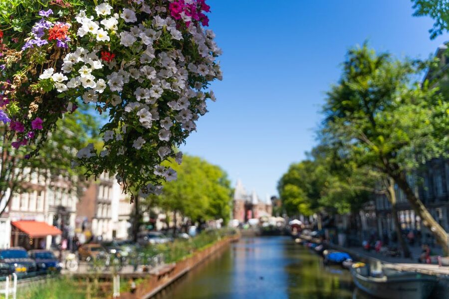 Amsterdam Walking Tour with Cheese Tasting - The Old Amsterdam cheese tasting