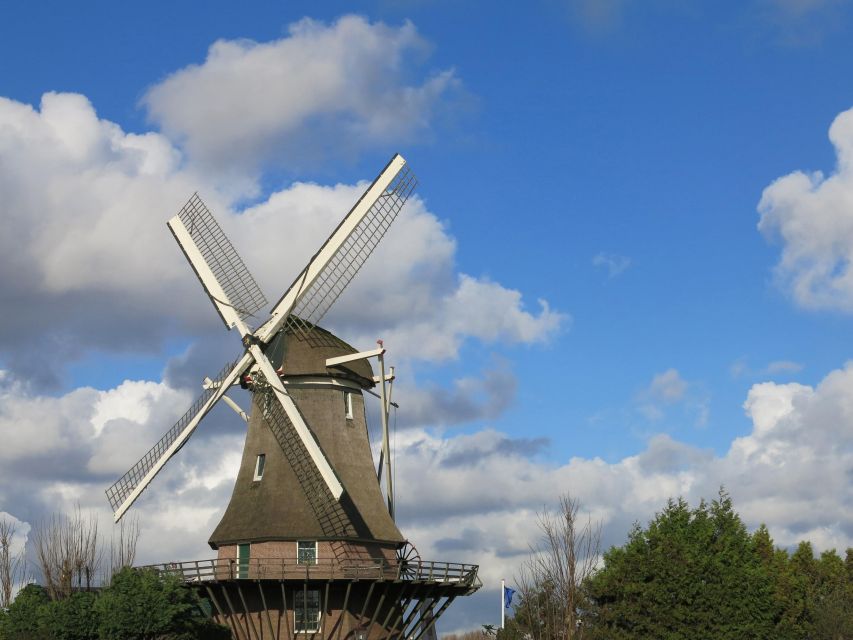 Amsterdam: Windmill Guided Tour - Seeing how the Dutch keep their feet dry