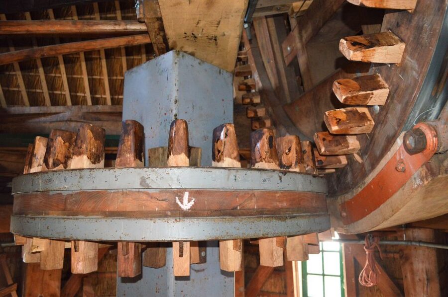 Amsterdam: Windmill Guided Tour - How the tour works for families