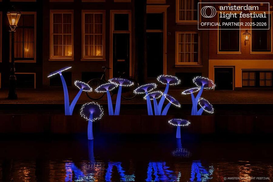 Amsterdam Winter Walking Tour - Spui Square and the slower side of the center