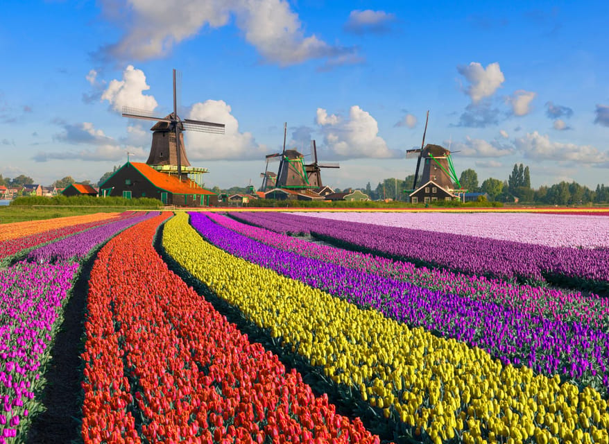 Amsterdam: Zaanse Schans, The Hague & Rotterdam Tour - Zaanse Schans: windmills, cheese, and clogs