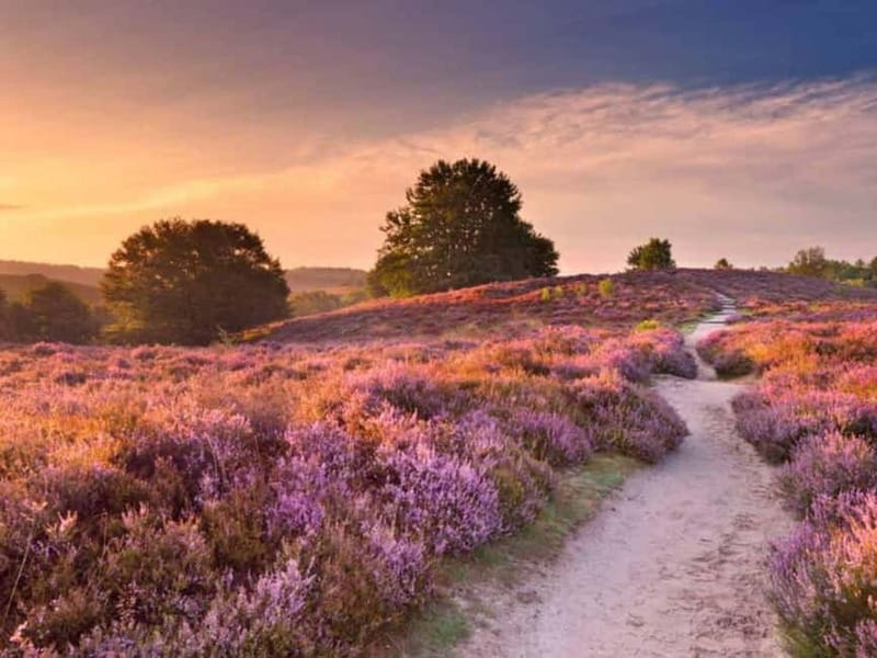 Arnhem: 8-hour culinary car tour of Veluwe - Loenen Waterfall starts the day with fresh air
