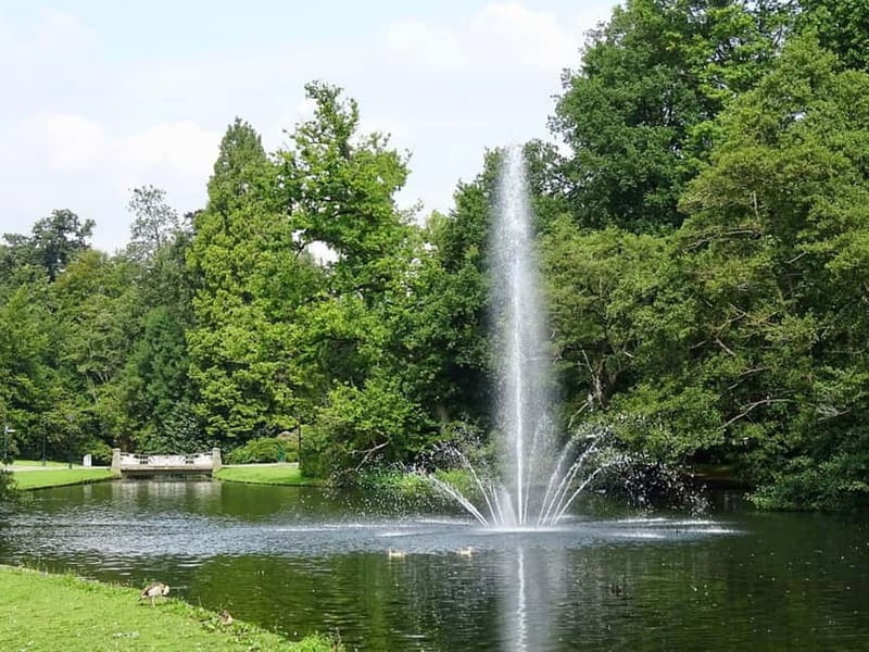 Arnhem: 8-hour culinary car tour of Veluwe - Lunch on a historic estate