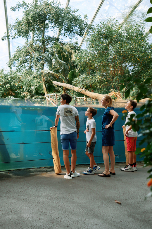 Arnhem: Burgers' Zoo Entry Ticket - Key things to know before you go
