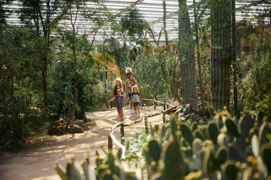 Arnhem: Burgers' Zoo Entry Ticket - Follow the eight million liters in The Ocean