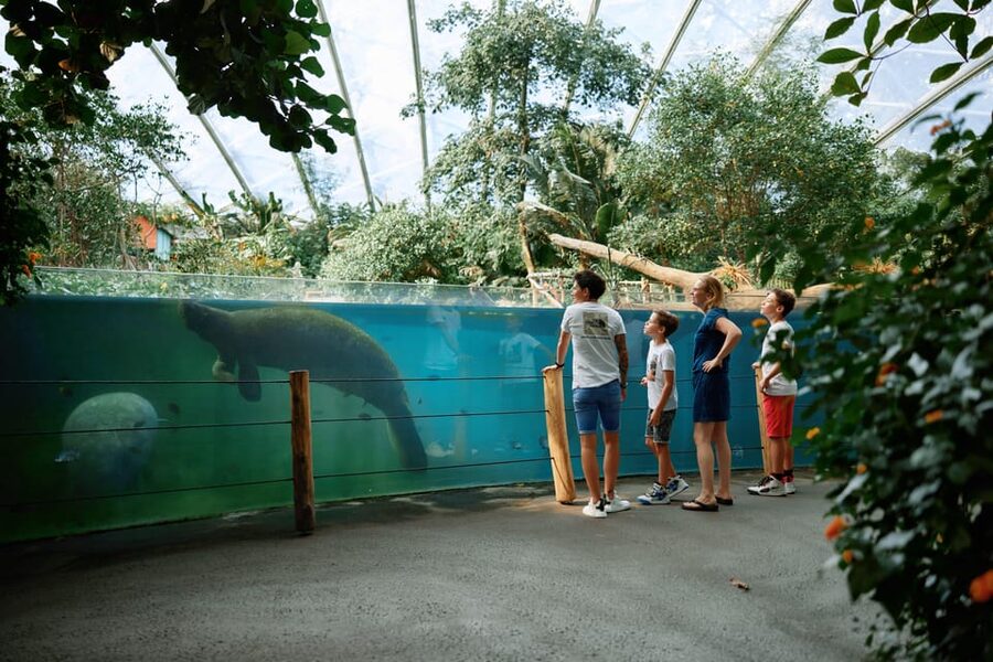 Arnhem: Burgers' Zoo Entry Ticket - See the Malay rainforest in Rimba