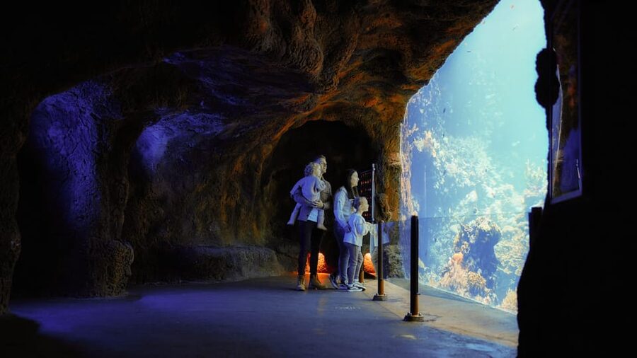 Arnhem: Burgers' Zoo Entry Ticket - How to plan an eight-hour visit