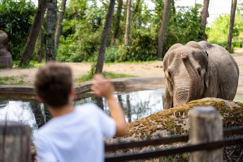 Arnhem: Burgers' Zoo Entry Ticket - Start in The Bush, a humid indoor rainforest