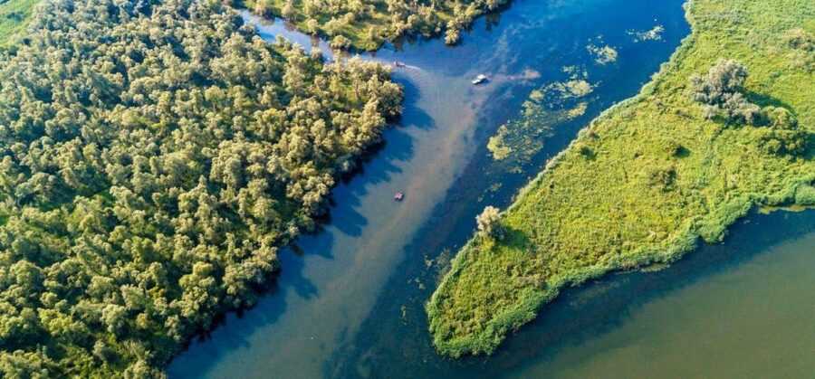 Biesbosch: Boat Cruise through National Park - Wildlife watching without the hard work