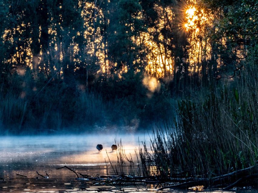 Biesbosch: Boat Cruise through National Park - The De Zilvermeeuw’s practical comforts
