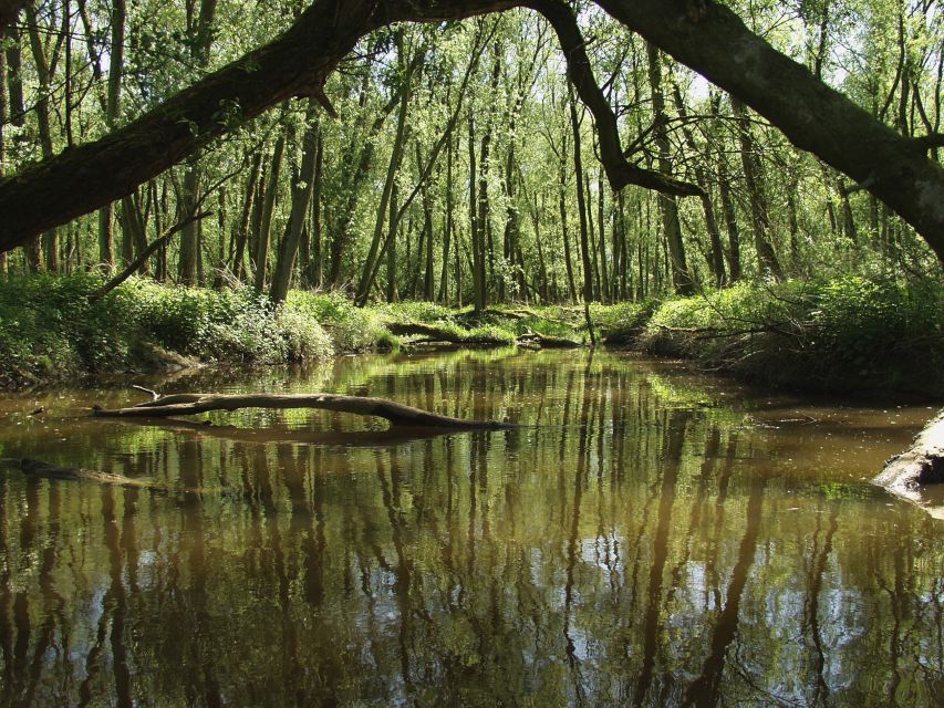 Biesbosch: Boat Cruise through National Park - What the two-hour route feels like