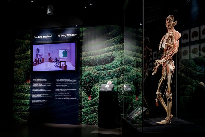 Body Worlds Amsterdam Admission Ticket - How long should you plan for?