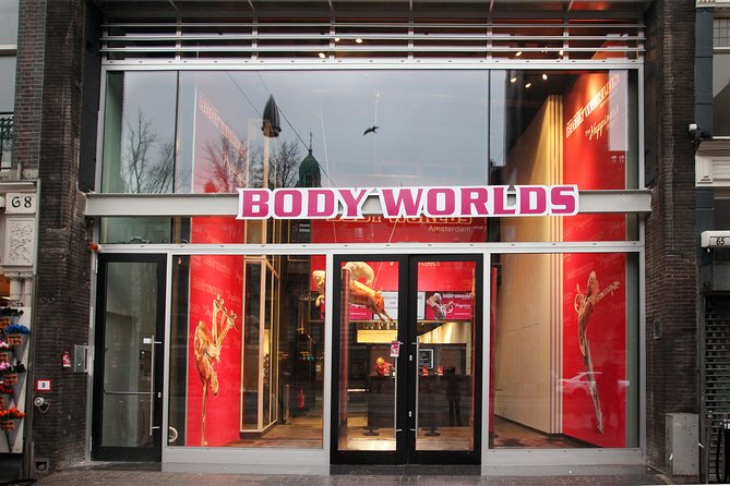 Body Worlds Amsterdam Admission Ticket - Is the $27.21 ticket worth it?