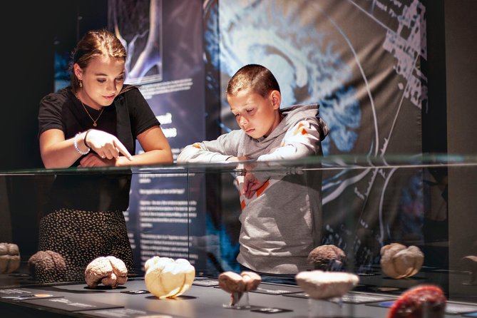 Body Worlds Amsterdam Admission Ticket - A museum that works for curious children and adults