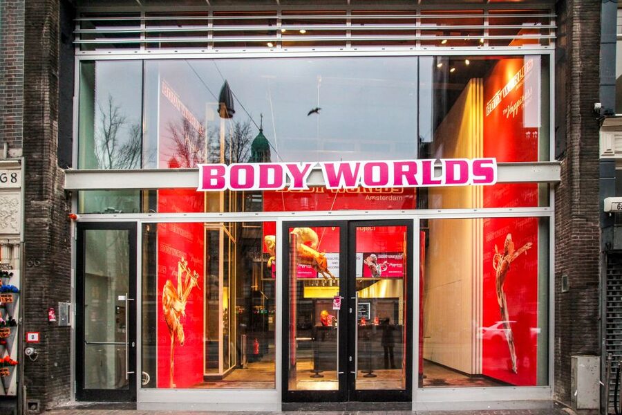 Body Worlds Amsterdam: The Happiness Project Ticket - Key things to know