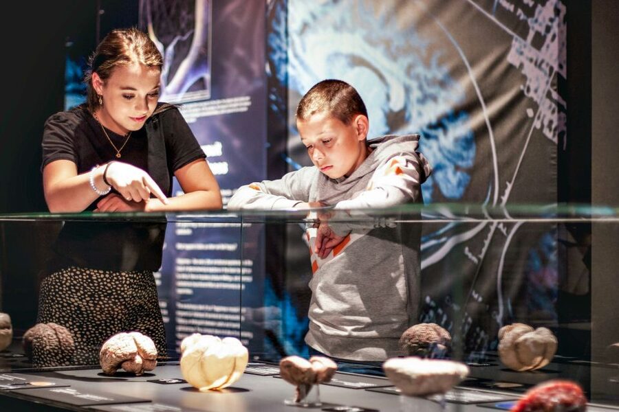 Body Worlds Amsterdam: The Happiness Project Ticket - Who will enjoy Body Worlds Amsterdam?