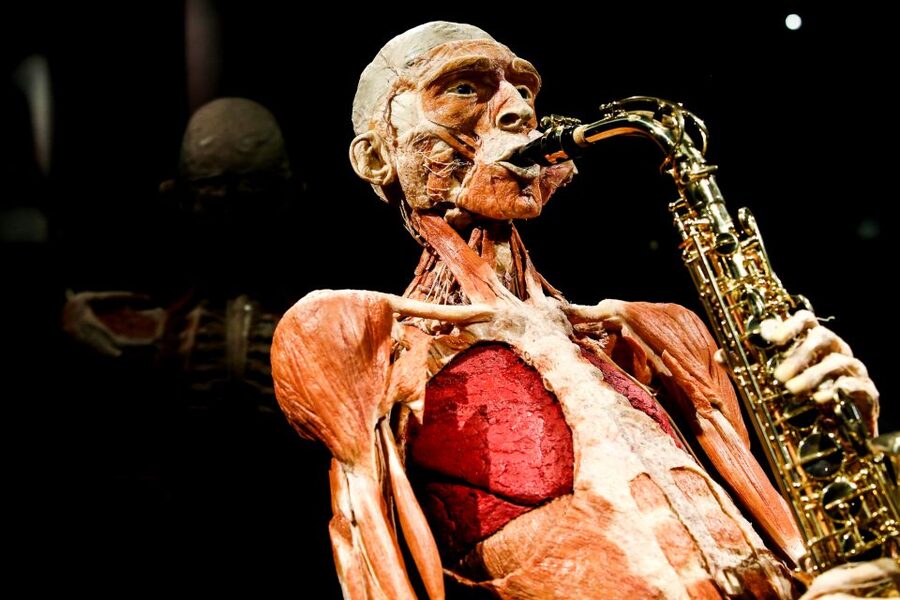 Body Worlds Amsterdam: The Happiness Project Ticket - Start at the sixth floor and work down