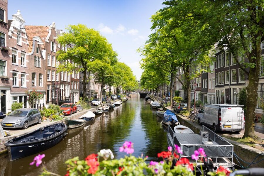 Boutique Dutch Food & History Tour with up to 8 guests only - How much food and drink do you really get?
