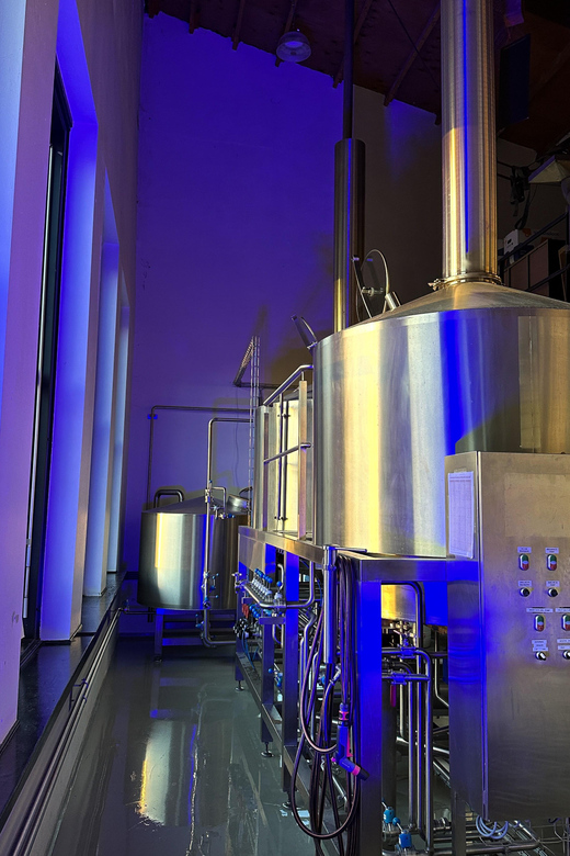 Breugem Brewery: Beer tasting - What happens at the Amsterdam brewpub