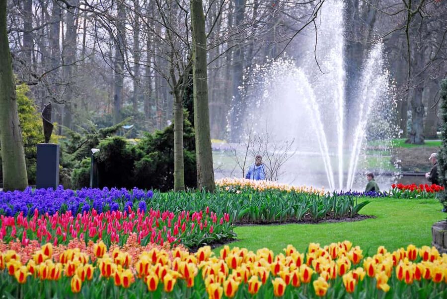 Brussels: Holland Keukenhof & Kinderdijk Guided Day Tour - Keukenhof turns flowers into a day’s main event
