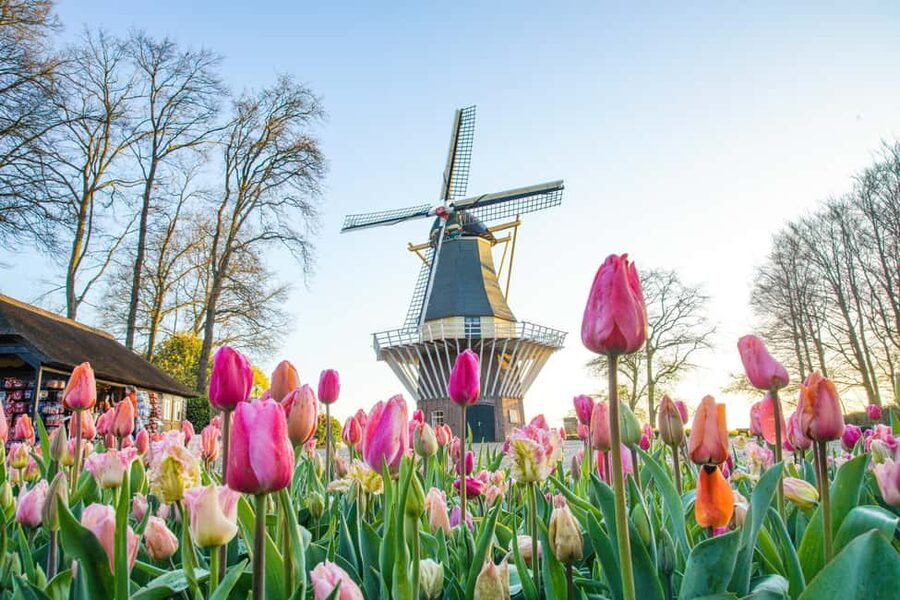 Brussels: Holland Keukenhof & Kinderdijk Guided Day Tour - Guide style and language