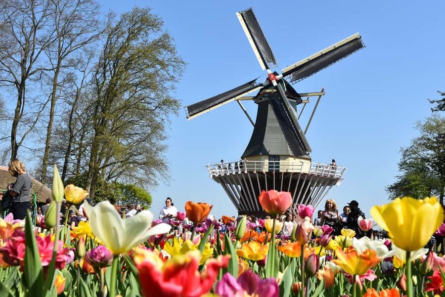 Brussels: Holland Keukenhof & Kinderdijk Guided Day Tour - Should you book the Kinderdijk and Keukenhof day trip?