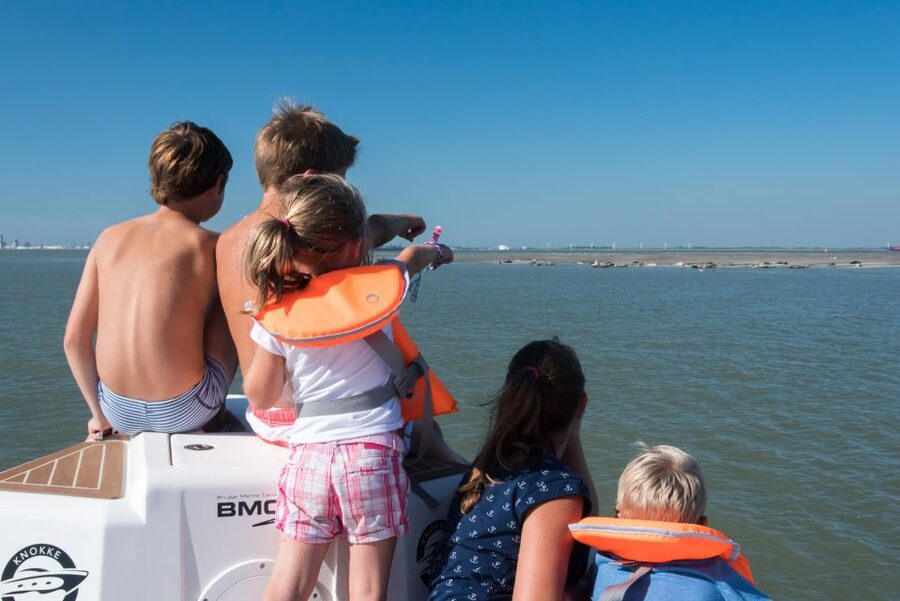 Cadzand: Seal Discovery Boat Tour with Glass of Champagne - Setting Out From Cadzand Harbor