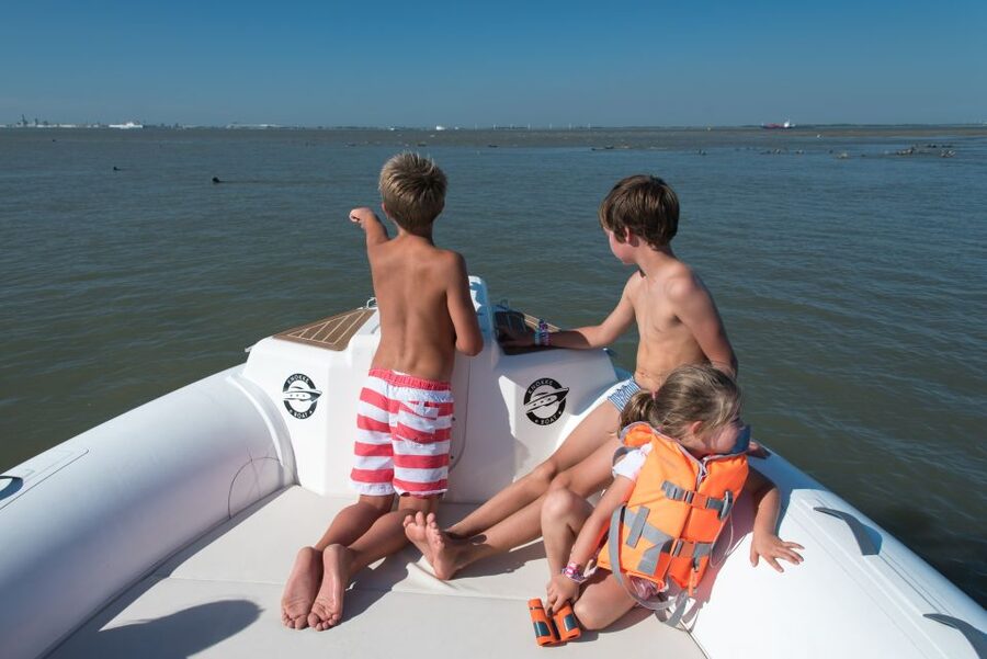 Cadzand: Seal Discovery Boat Tour with Glass of Champagne - The Optional 80-Kilometer-Per-Hour Ride
