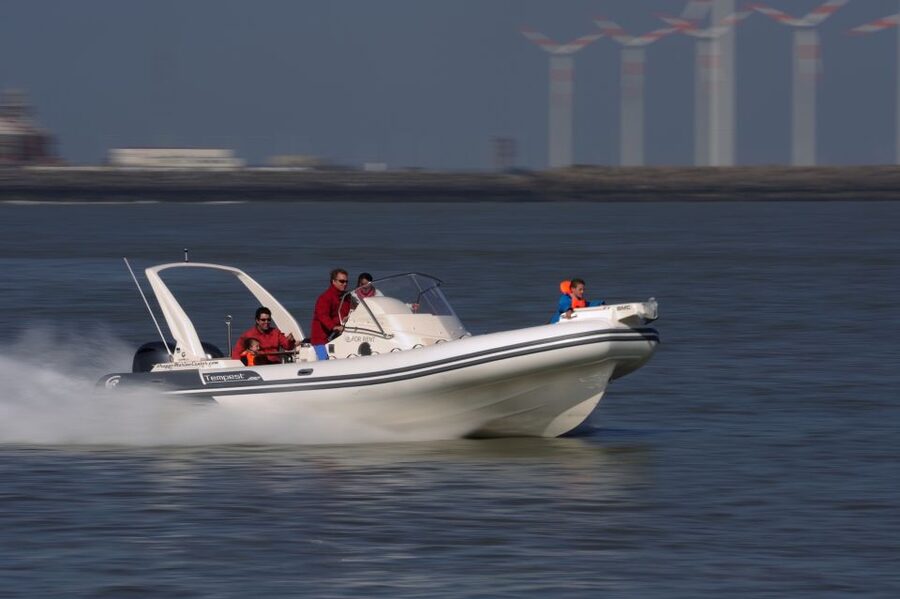 Cadzand: Seal Discovery Boat Tour with Glass of Champagne - What to Wear and Bring