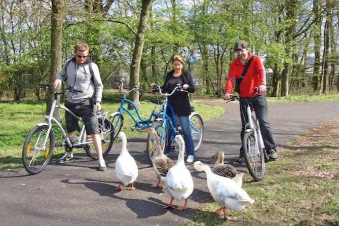 Cheese, Canals & Windmill Countryside E-Bike Tour Amsterdam - Ransdorp, its tower, and the lowlands