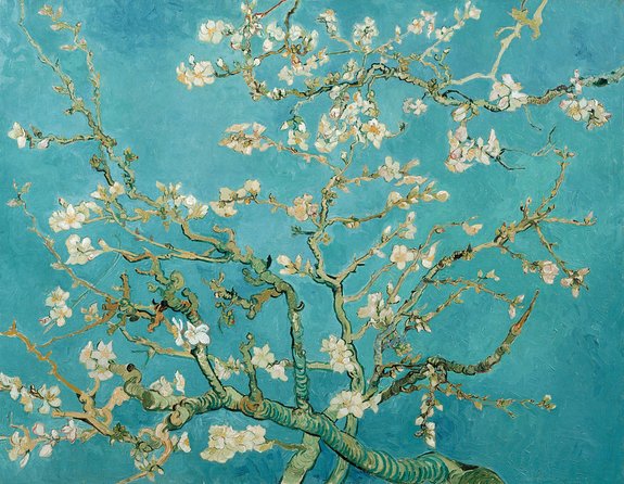 Combo Ticket: Van Gogh Museum Ticket and 1-Hour Canal Cruise - How much time to allow inside