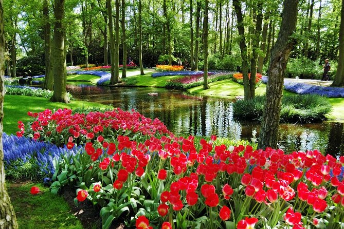Day Trip to Keukenhof Gardens from Amsterdam with Tour Guide - Is $71.20 a fair price?