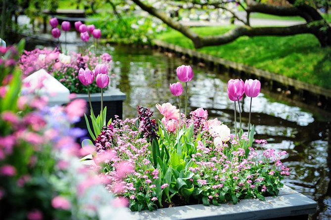 Day Trip to Keukenhof Gardens from Amsterdam with Tour Guide - Small details that make the day easier