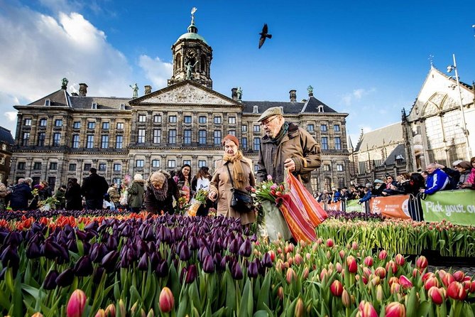 e-Scavenger hunt Amsterdam: Explore the city at your own pace - Cost, phones, and the practical details