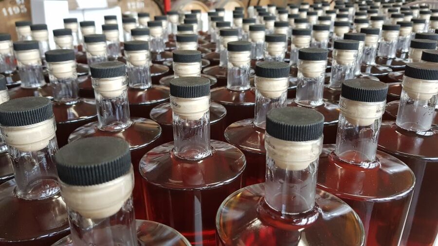 Eindhoven: Bottle Distillery Tour and Tasting Experience - Meeting the hosts: Mark, Marek, Anita, and Annie