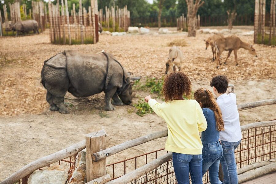 Eindhoven Zoo Entry Ticket - Key points to know before you go