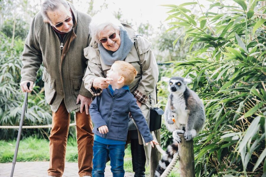 Eindhoven Zoo Entry Ticket - Getting there from Eindhoven and Nuenen