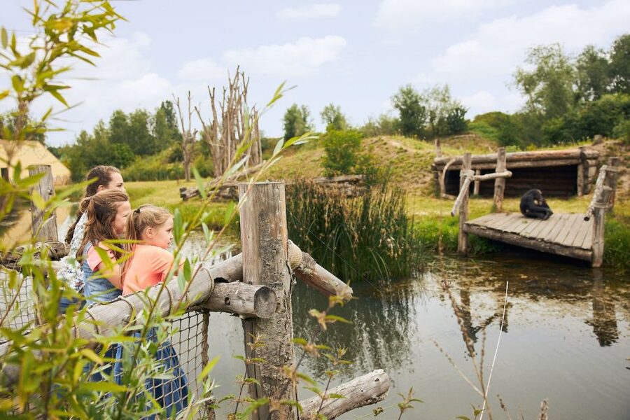 Eindhoven Zoo Entry Ticket - Is $28 a fair price?