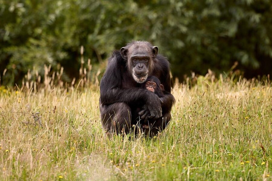 Eindhoven Zoo Entry Ticket - Who will enjoy Eindhoven Zoo most?