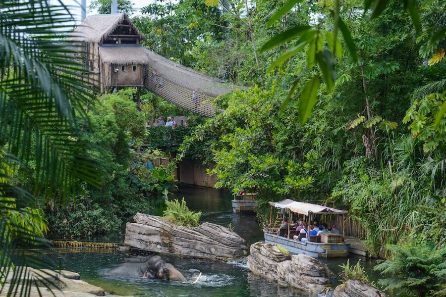 Emmen: Wildlands Adventure Zoo and Rimbula River Boat Ride - Practical planning for a rain-or-shine day