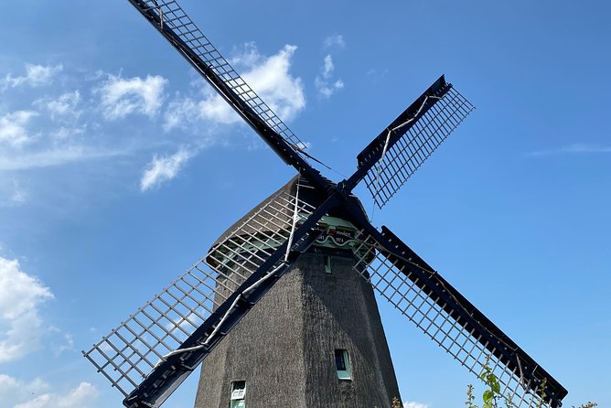 Escape Amsterdam: E-Bike to Zaanse Schans Windmills & Zaandam - Het Twiske and a slower stretch of the ride