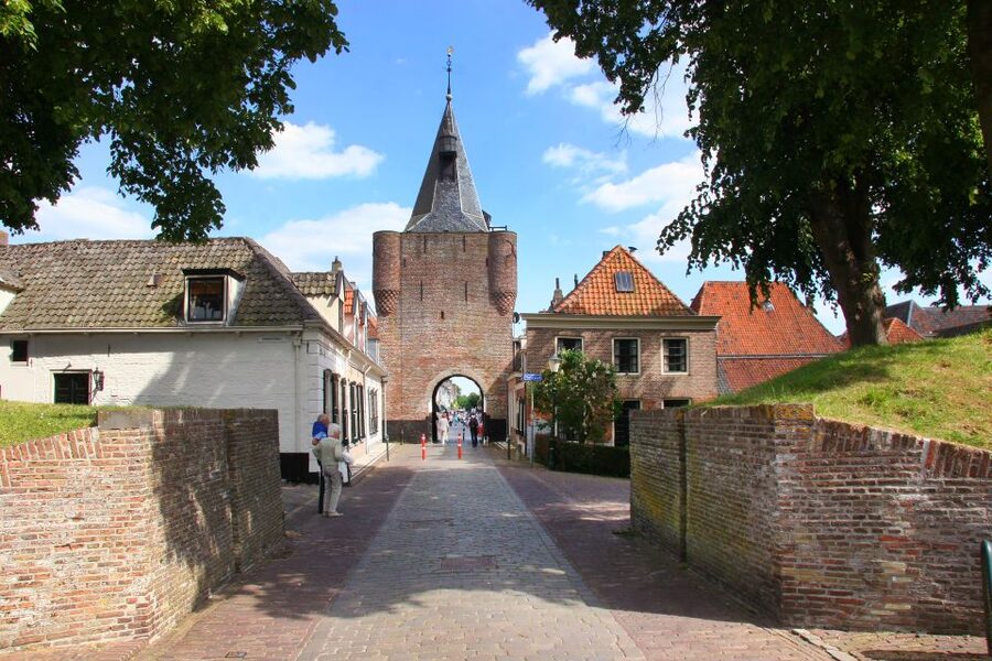 From Amsterdam: 4 Provinces Highlights Van Tour - The van, group size, and guide style