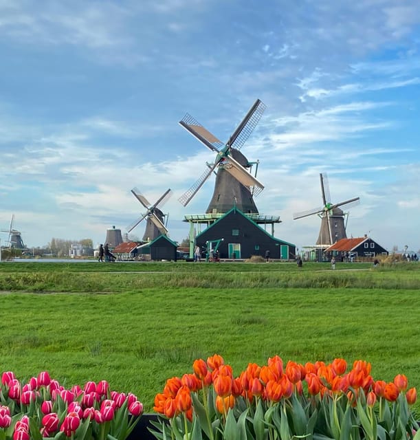 From Amsterdam; Alkmaar Cheese market & Zaanse Schans - Who should book this experience