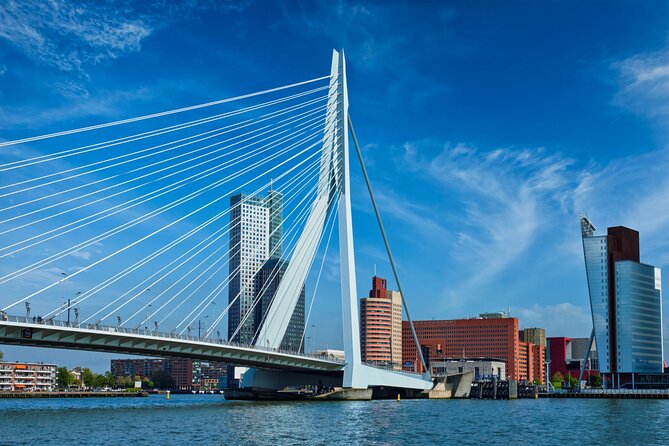 From Amsterdam: Day Trip to Rotterdam, Delft & Hague with Cruise - The guide, group size, and pace