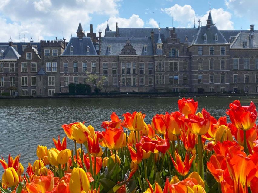 From Amsterdam: Guided Trip to Rotterdam, Delft & The Hague - Key points to know before you book