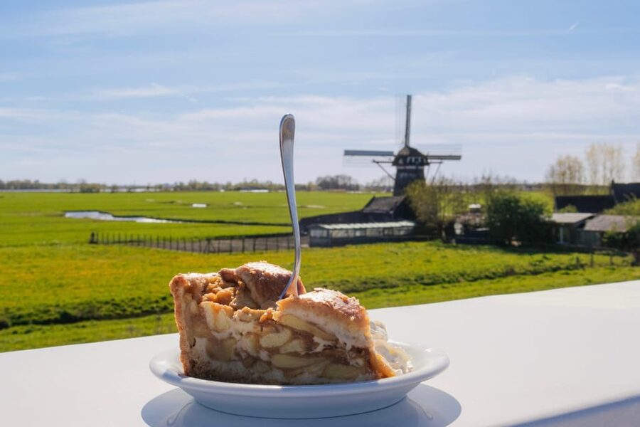 From Amsterdam: Holland Flower and Windmill Tour - summer ed - Practical ways to get more from the day