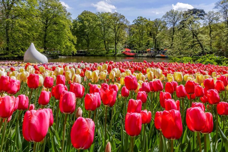 From Amsterdam: Keukenhof and Dutch Countryside Tour - What this long Dutch countryside day is really like